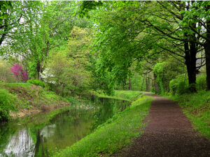Delaware Canal and Towpath in Bucks County PA
