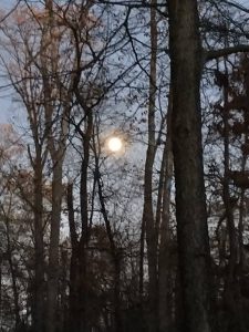 Full beaver moon